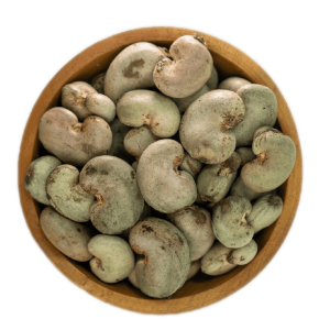 Raw Cashew Nuts (RCN)