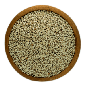 Sorghum