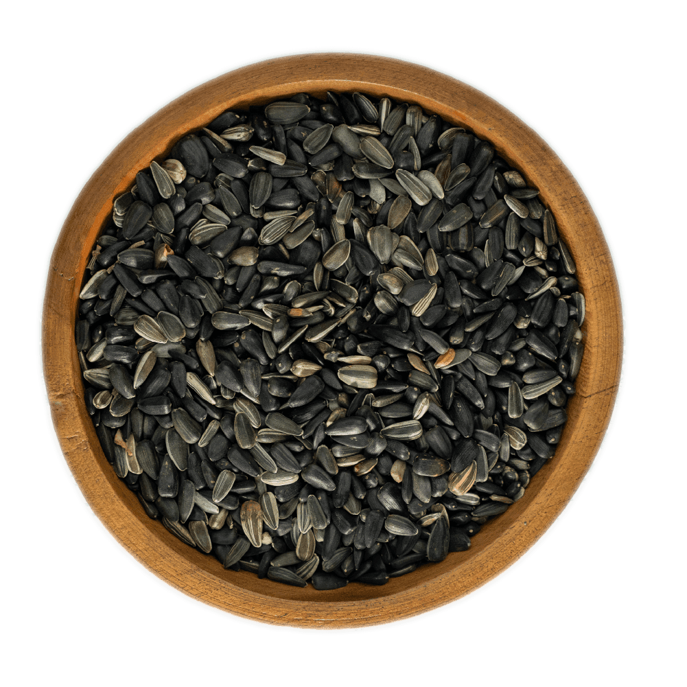 Sunflower Seeds